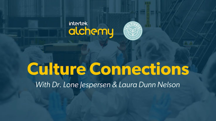 Culture Connection Video Series