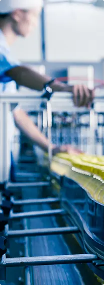 Understanding HACCP - beverage manufacturing front line